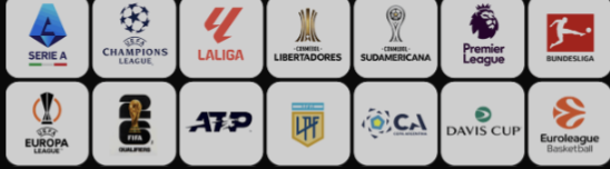 Ligas y torneos
