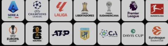 Ligas y torneos